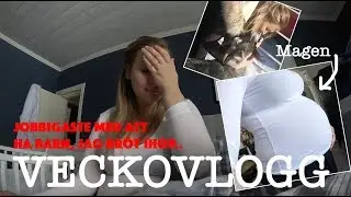 Träffar djuren efter 3 månader!!! | VECKOVLOGG #180