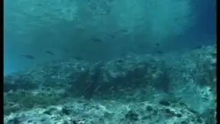Ammunition on seabed