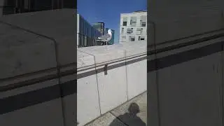 #oslo #operahouse #norway #rooftop #seagull #M&aring;ke #babyshark #shorts #youtubeshorts #subscribe