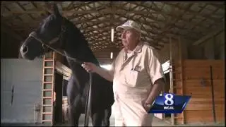 Three Susquehanna Valley horses racing in Breeder's Cup Classic
