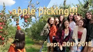 apple picking vlog!!!!