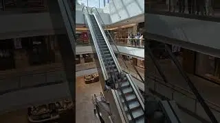 Escalator collapses in mall as people watch in shock
