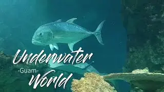 Underwater World | Guam