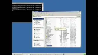 Sentinel Support - How to troubleshoot 'service cannot start' error