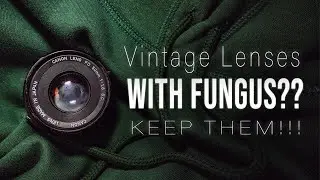 Vintage Lenses With Fungus??? KEEP THEM!!