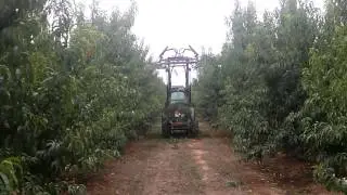 Prepodadora articulada de discos PF-610 D   (video 2)
