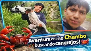 Aventuras en el río CHAMBO buscando Cangrejos!🦀🌊