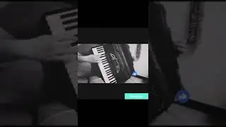 Petromaestro-mix pjesama (harmonika)