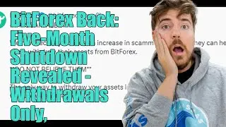 BitForex Exchange is Back After 5 months: Not as You Would Think!