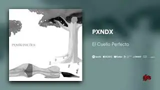 PXNDX - El Cuello Perfecto