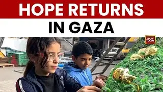 Gaza&rsquo;s Christian Community Tries to Celebrate Holidays During Ceasefire | World News | India Today