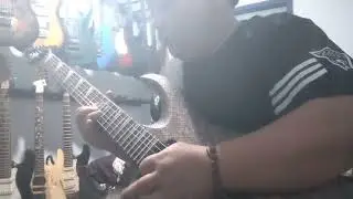 Ceksound gitar original xcort x-6 VPR/viper