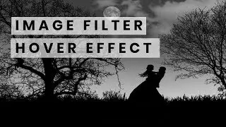 CSS Image Filter Hover Effect | Quick CSS Tutorial