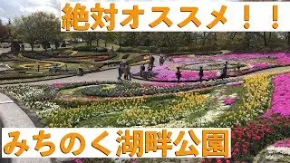 「みちのく湖畔公園」転勤族必見！宮城で子供と遊べるお出かけスポット紹介！！'Michinoku Park'