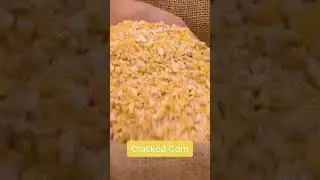 Cracked Corn | ForTheBirds | YouTube Shorts