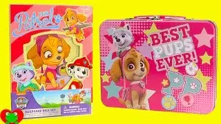 Paw Patrol Skye Diary Set and Lunch Box Surprises