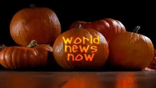 Everything Pumpkin For Fall