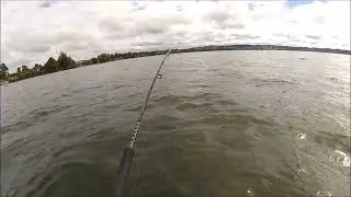 NEW ZEALAND TROUT FISHING NORTHEASTER