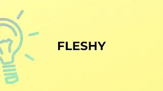 What is the meaning of the word FLESHY?
