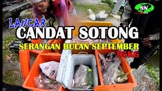 CANDAT SOTONG 🦑🦑 Serangan sotong bulan September