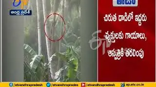 Two Injured | as Leopard Attack | at Balusu Lanka of East Godavari Dist