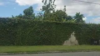 Driving through Norbrook | Jamaica