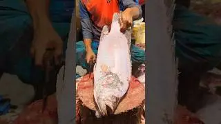 Incredible Giant Tripletail Fish Cutting Live In Fish Market | Fish Cutting Skills