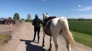 I RIDEHUS MED SPOT FOR F&Oslash;RSTE GANG I 2 &Aring;R - VLOG