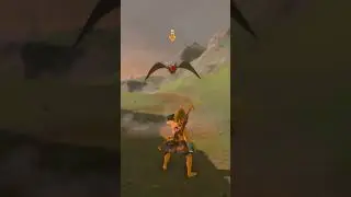 Scaring Keese #zelda #zeldabotw #botw #gamer #gaming #gameplay #videogame #zeldatotk #totk #nintendo