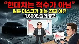 테슬라 레드우드 vs BYD 시걸, 2만 5천 달러 전기차 전쟁에서 현대차가 언급조차 안 되는 이유