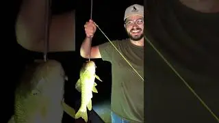 Jacob's First Fish With a Bow #bowfishing #firstfish