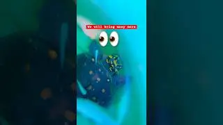Turtle 🐢& Fish 🐟 in a Tub 🛁 | Village Vibes😍| #turtle #fish #animallover #yt #viralvideo #fyp