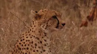 Marakele National Park Two Minute Tour