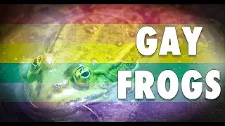 Gay Frogs Alex Jones REMIX 10 Hours