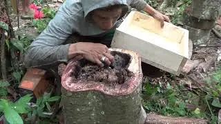 Учебное пособие по изготовлению ульев Келулут для скота