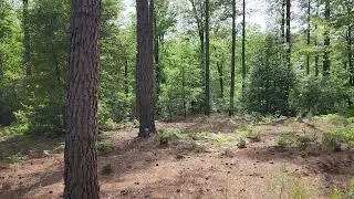 I like my land.