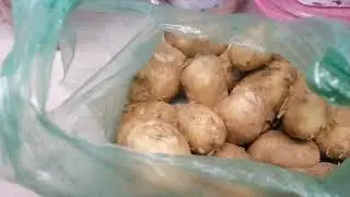 To guys aj Humne banai aloo ke parathe or aloo ke chande😋#youtube #videos#vlog#like#share#subscribe💫