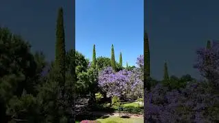 Starlight Resort Kizilagac T&uuml;rkiye