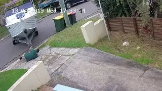 Runaway Boat Takes Fisherman for a Ride || ViralHog