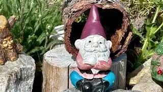 *Where I Found the Gnomes!  Nature Fairy Garden*  #fairygardenthursday