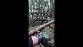 Trail cleaning with a Silky saw