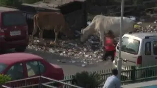 Run Leila Run [HD]