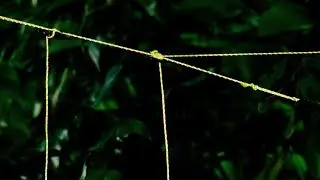 How to Hang a Tarp Tutorial w/ GO! Line and Tactical Toggle Knot Replacement Deivces