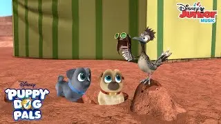 Dinosaur Rhyme 🦖 | Music Video | Puppy Dog Pals | Disney Junior