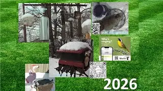 Started 01.01.2026 Live, Astonishing Bird Actors On Camera