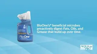 BioOne Liquid Drain & Septic Maintenance Cleaner