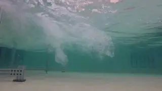 Rogue wave research
