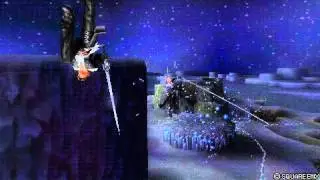Final fantasy Squall lion heart Vs Sephiroth