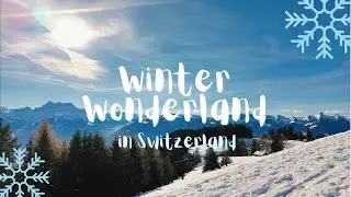 Small ways to survive winter in Switzerland | walks, train rides, and sunshine ❄️☀️