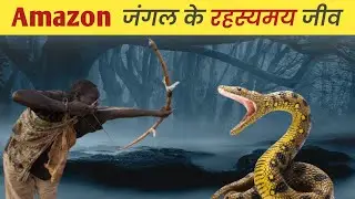 Amazon जंगल इतने रहस्यमय क्यों है?।Amazon Rainforest।Alpha Factz